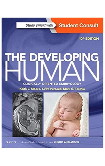 The Developing Human:...